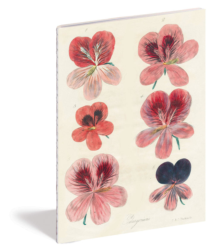Set of 3 John Derian Notebooks: In the Garden