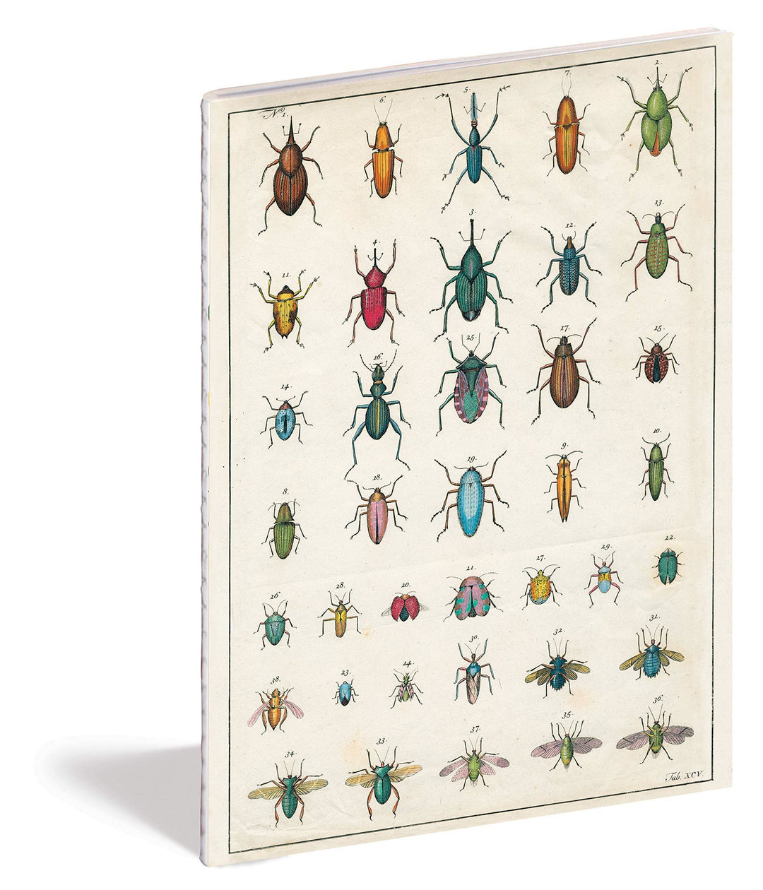 Set of 3 John Derian Notebooks: In the Garden