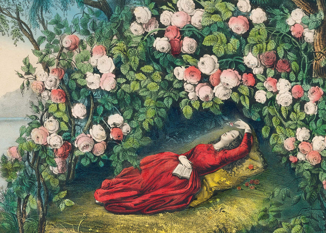 John Derian Bower Roses Jigsaw Puzzle