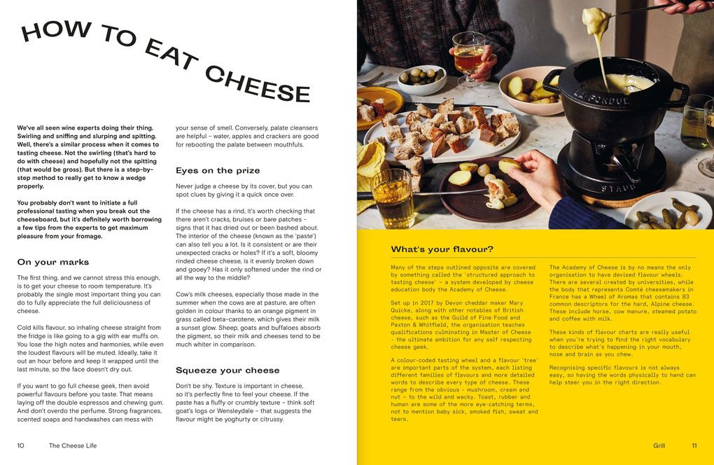 The Cheese Life