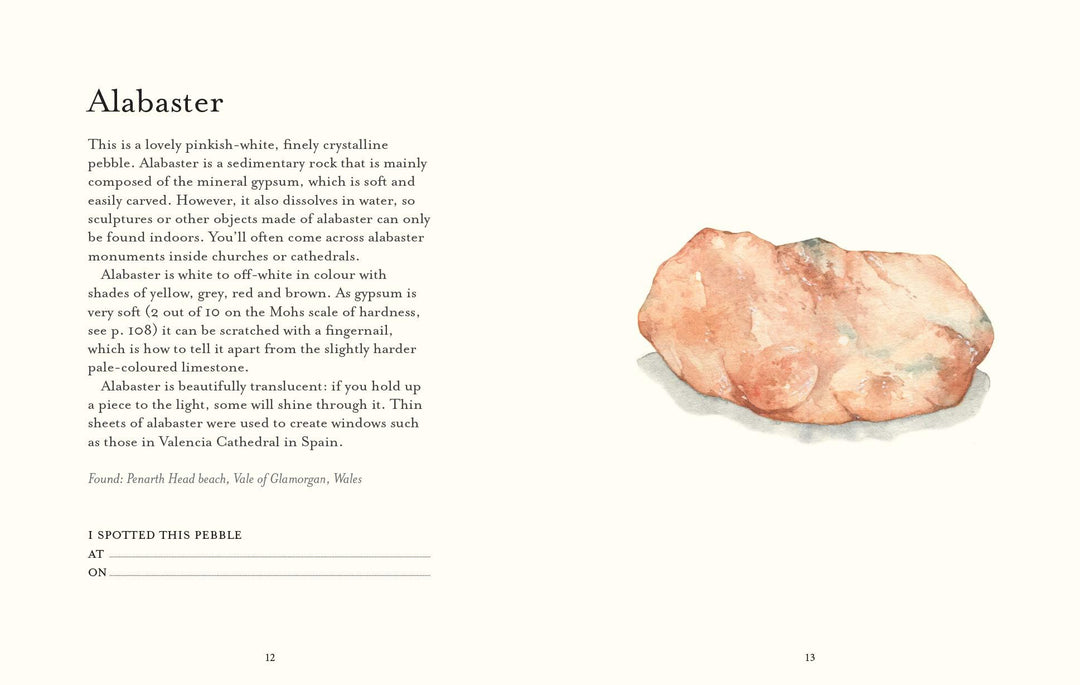 The Pebble Spotter's Guide