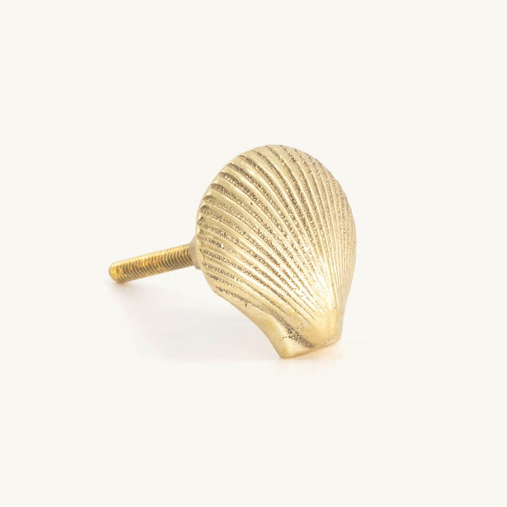Shell Knob
