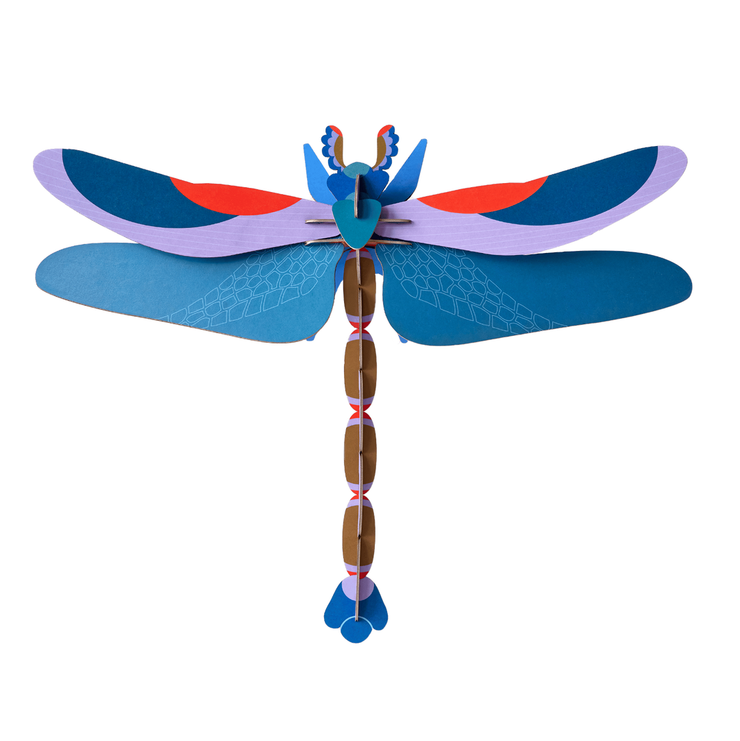 Blue & Red Dragonfly 3D Model Kit