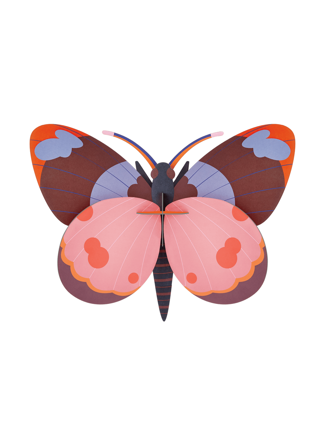 Bellissima Butterfly 3D Model Kit