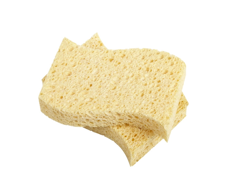 Biodegradable Sponges - Pack of 2