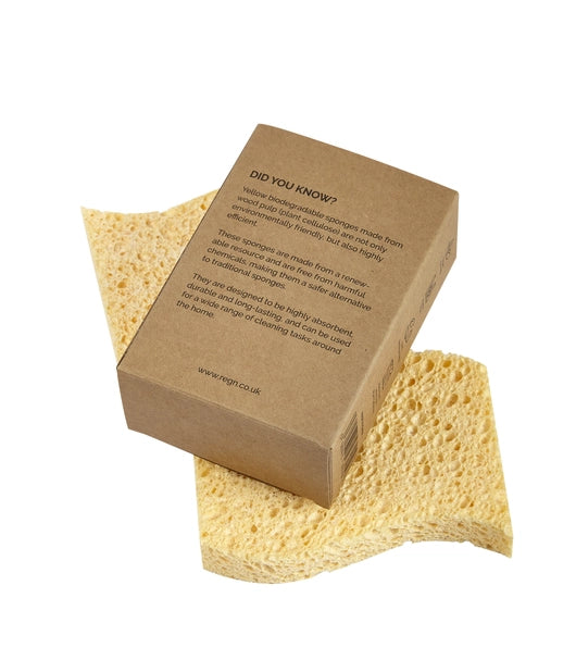 Biodegradable Sponges - Pack of 2