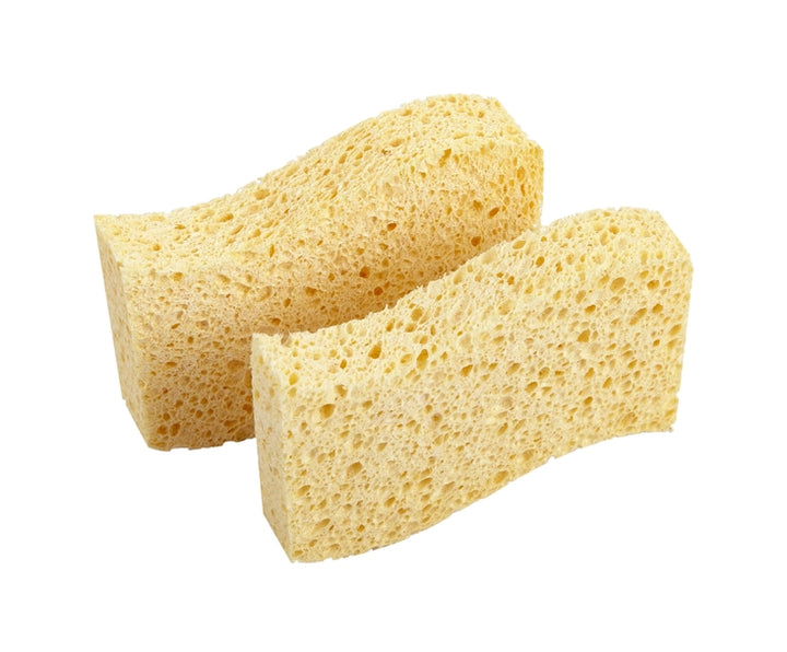 Biodegradable Sponges - Pack of 2