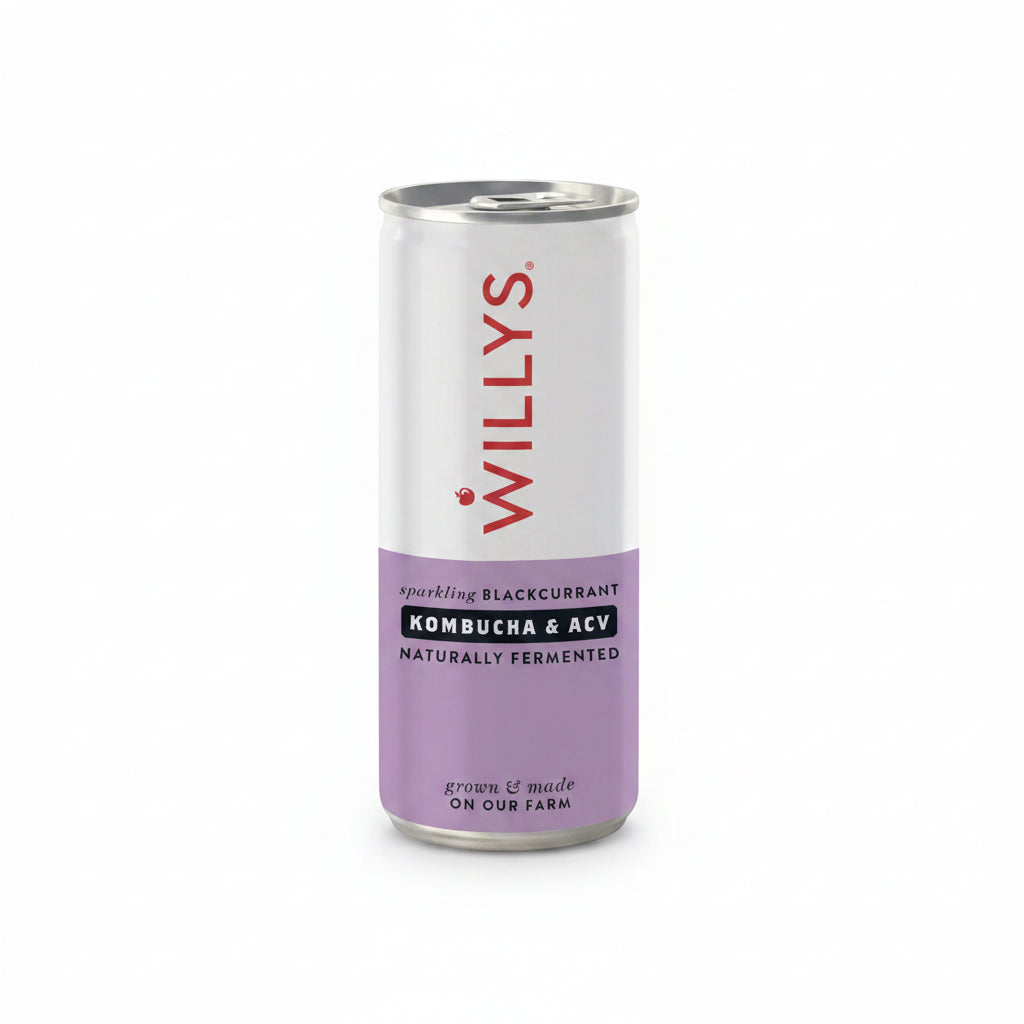 Willy's ACV Fermented Blackcurrant Kombucha 