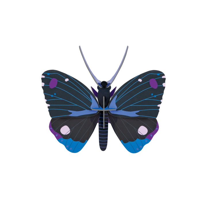 Blue Diadem Butterfly 3D Model Kit