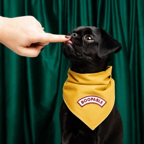 Boopable Iron-On Patch For Dogs
