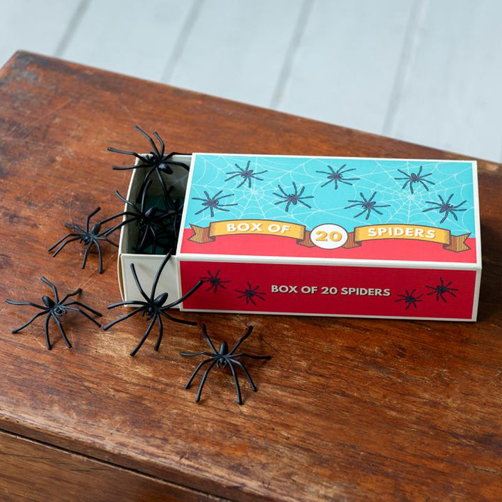 Box of Creepy Spiders
