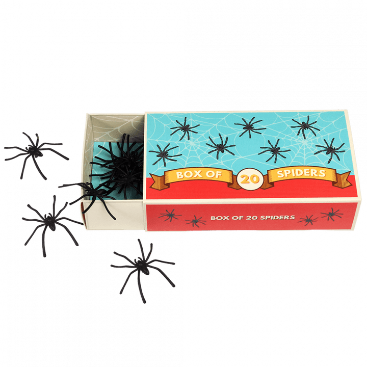 Box of Creepy Spiders