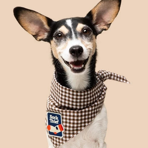 Brown Gingham Scout Bandana For Dogs