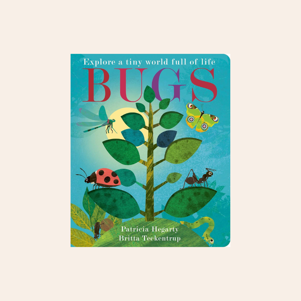 Bugs: Explore a Tiny World Full of Life Board Book