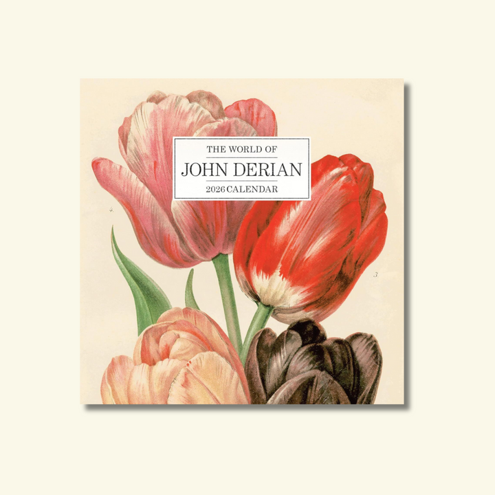 World of John Derian Wall Calendar 2026