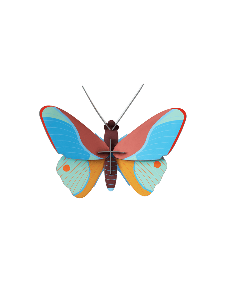 Claudina Butterfly 3D Model Kit