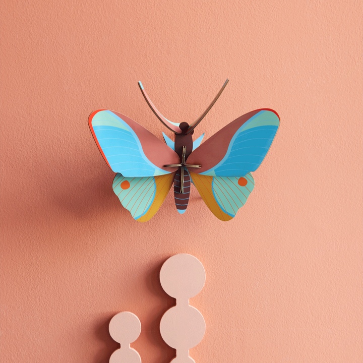 Claudina Butterfly 3D Model Kit