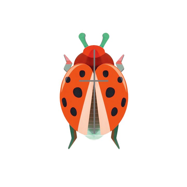 Coccinelle Rouge 3D Model Kit