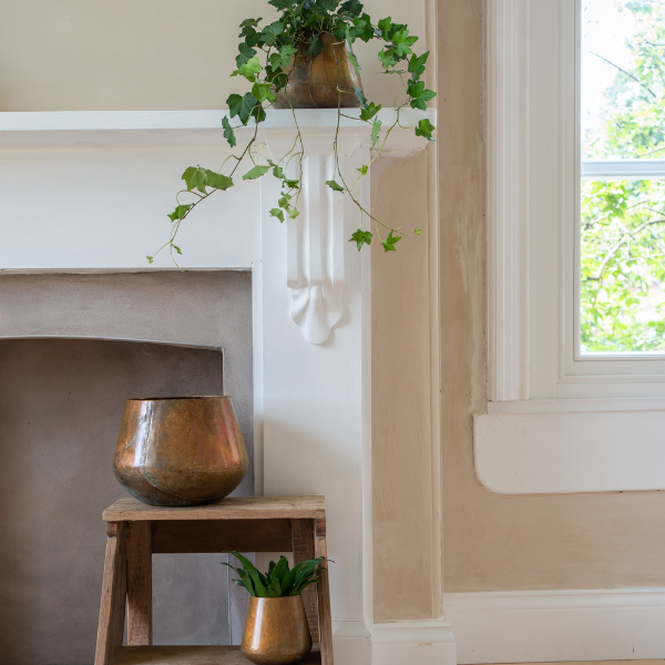 Copper Planter