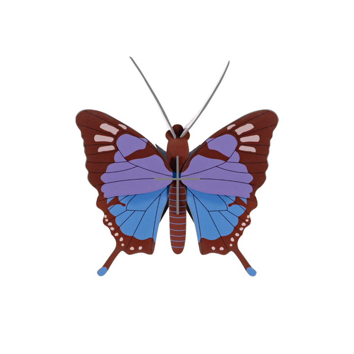 Crysalus Butterfly 3D Model Kit