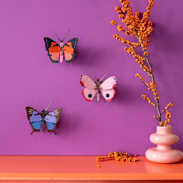 Crysalus Butterfly 3D Model Kit