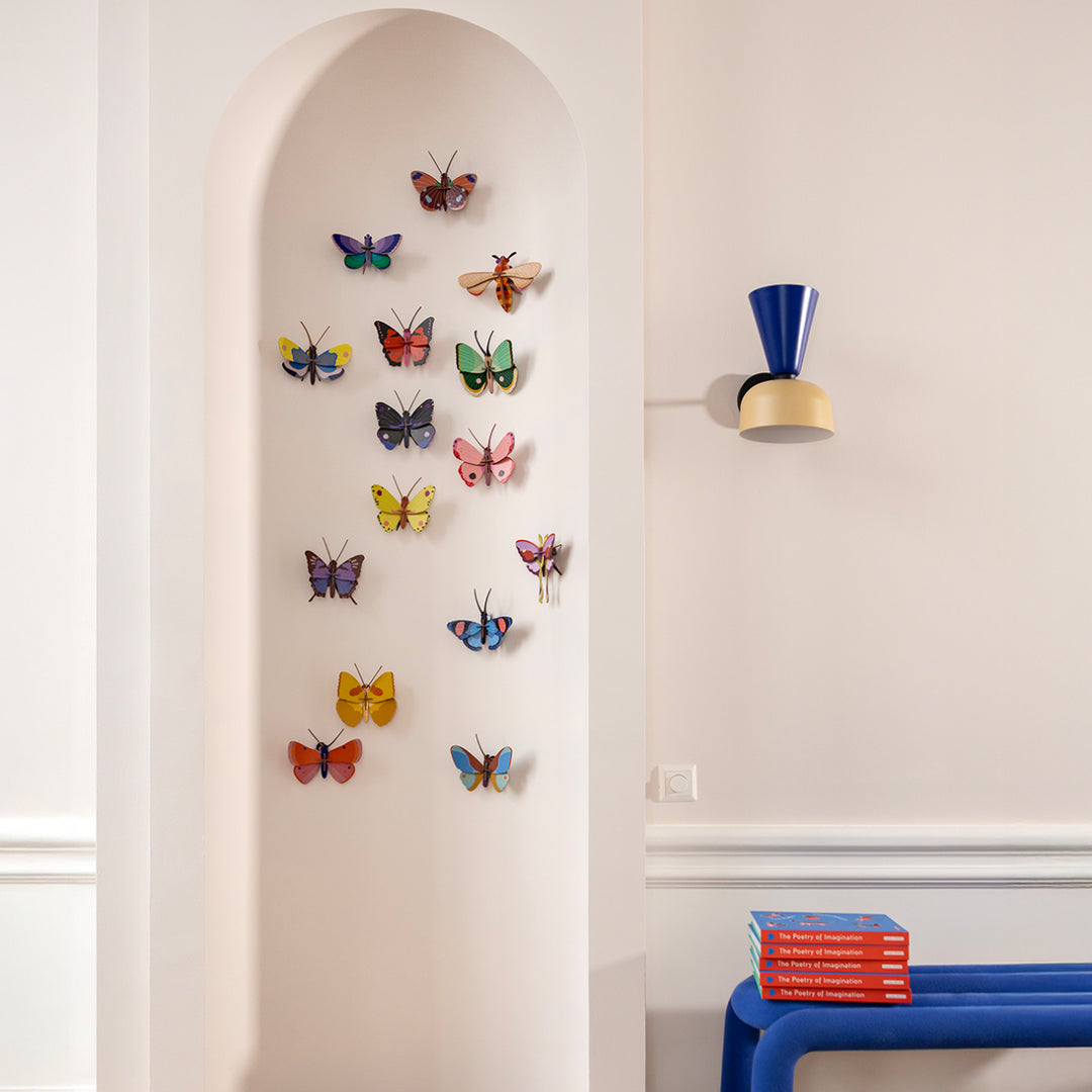 Crysalus Butterfly 3D Model Kit