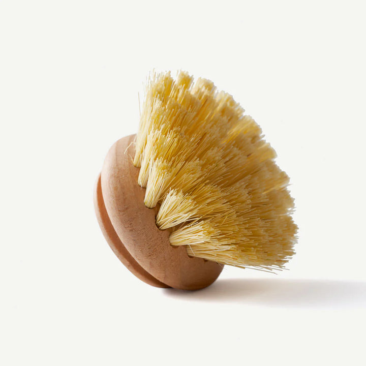 Replacement Dish Brush Head