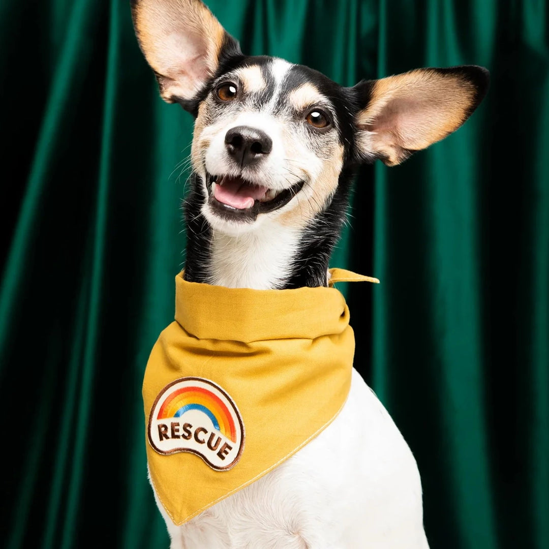 Mustard Bandana for Dogs