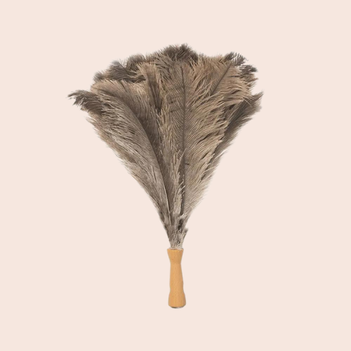 Extendable Ostrich Feather Duster