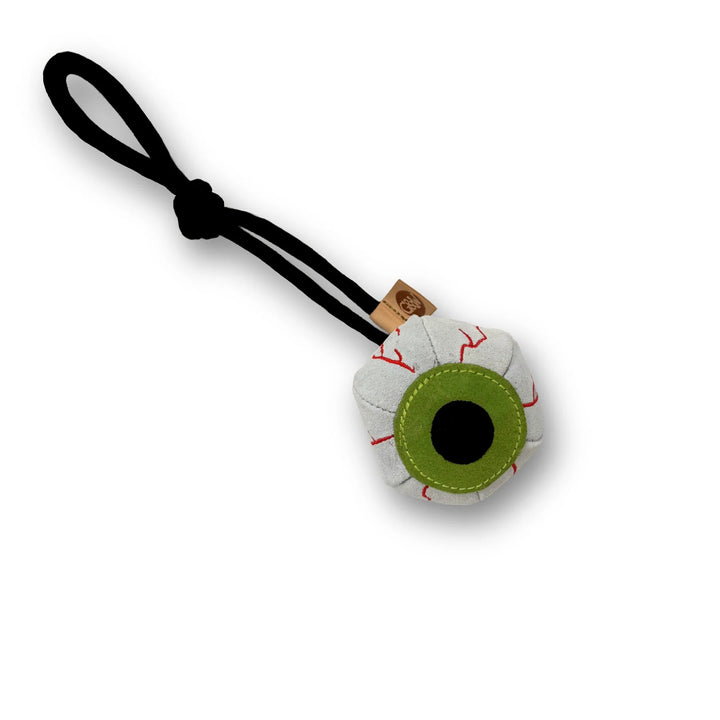 Eye-m Watching You Eco Dog Toy