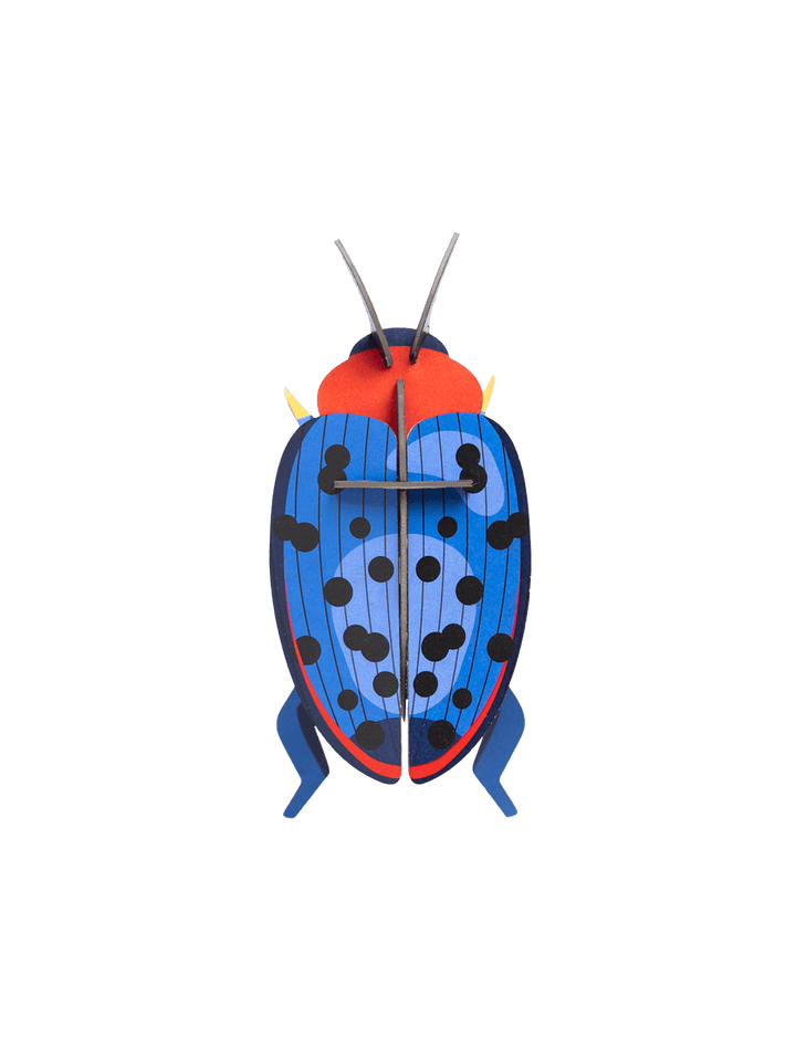 Fungus Beetle 3D Model Kit