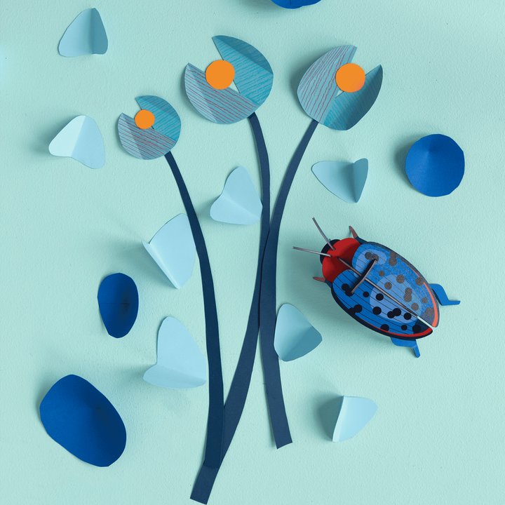 Fungus Beetle 3D Model Kit