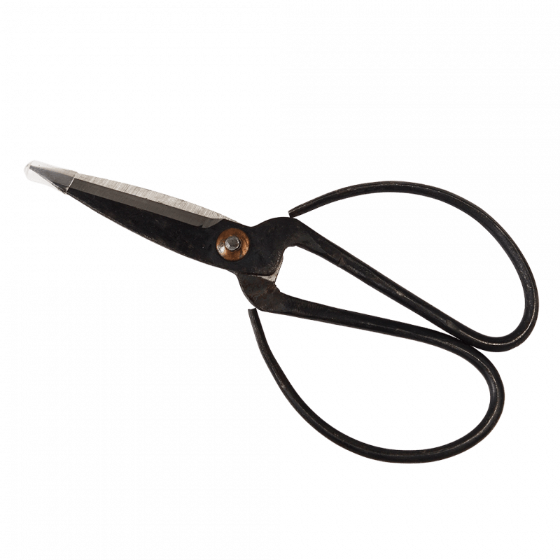 Gardener's Scissors