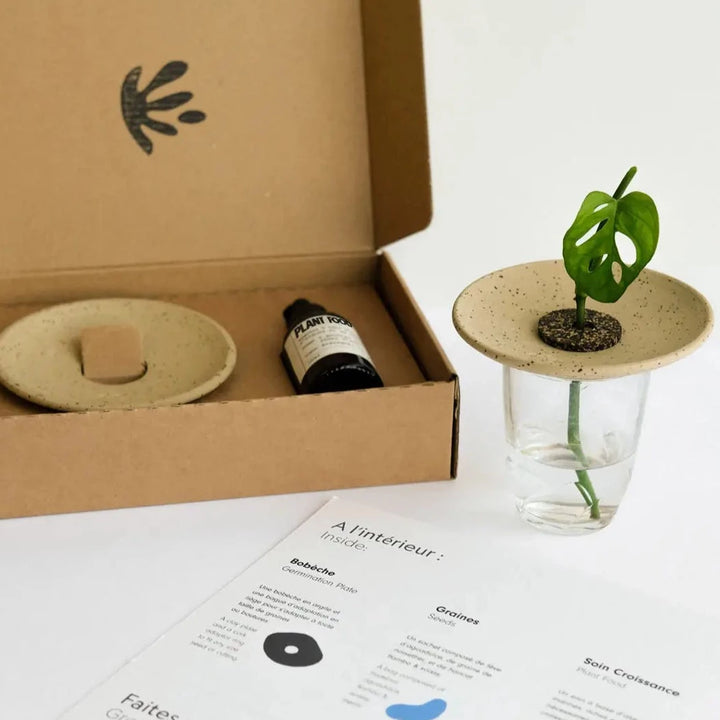 Germination & Hydroculture Gift Set