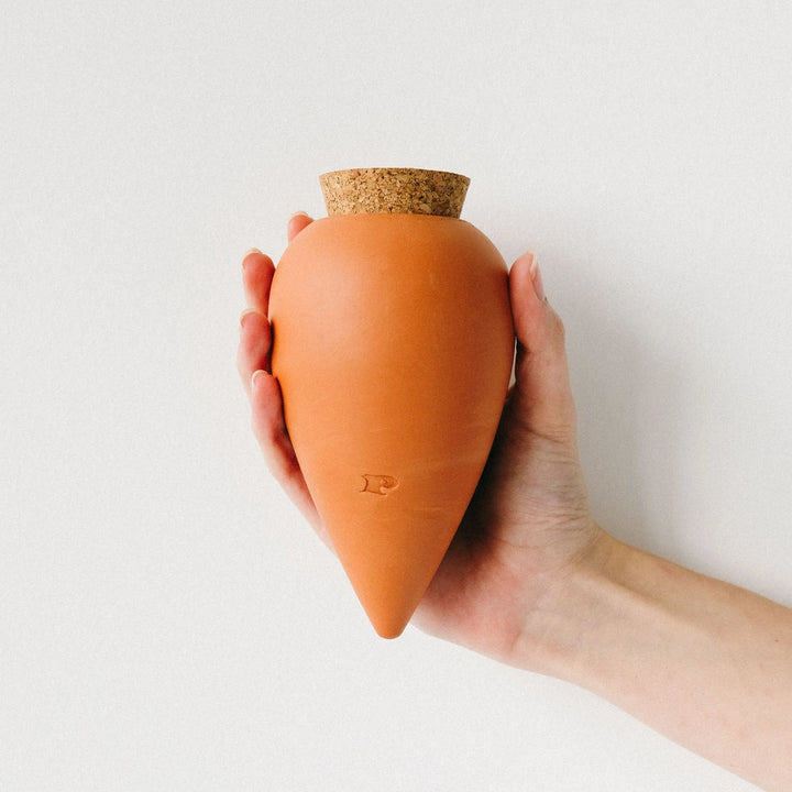 Olla Plant Watering Spike | Terracotta