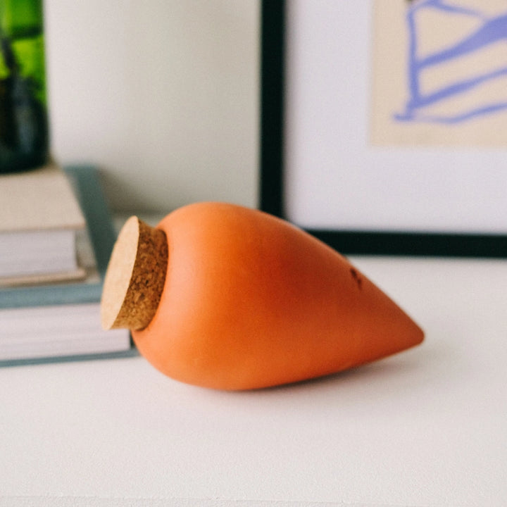Olla Plant Watering Spike | Terracotta