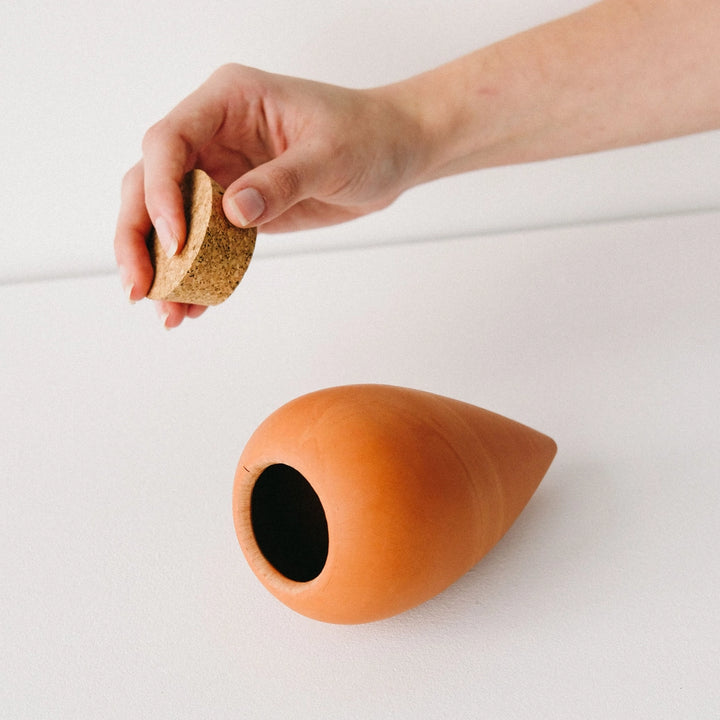 Olla Plant Watering Spike | Terracotta