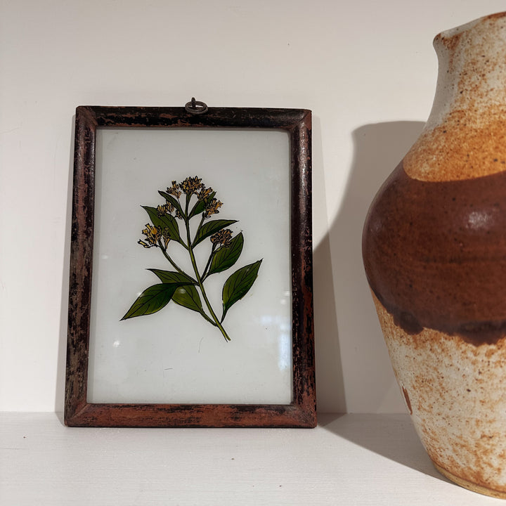 Cowslip - Indian Glass Painting - Vintage