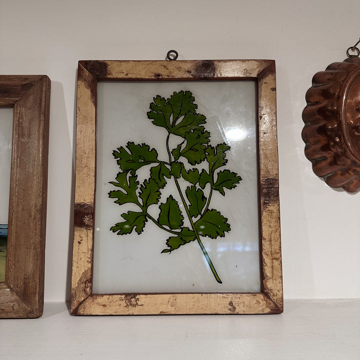 Parsley - Indian Glass Painting - Vintage