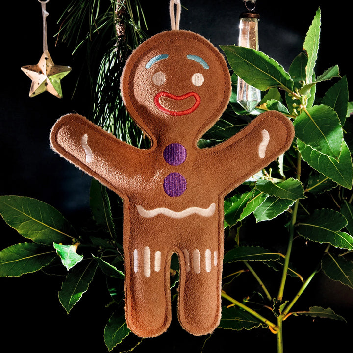 Jean Genie the Gingerbread Eco Dog Toy