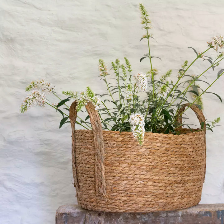 Oval Seagrass Basket with Handles - 3 Sizes