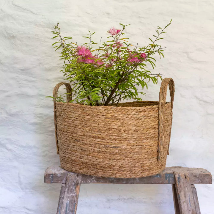 Oval Seagrass Basket with Handles - 3 Sizes