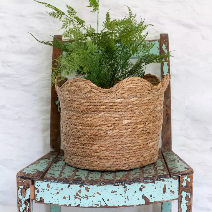 Tall Seagrass Basket Planter Frill Edge