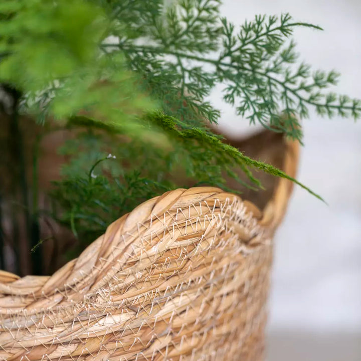 Tall Seagrass Basket Planter Frill Edge
