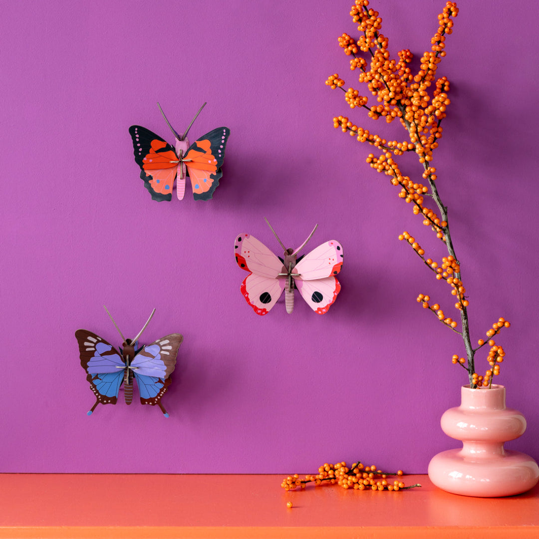 Large Fox Butterfly 3D Model Kit