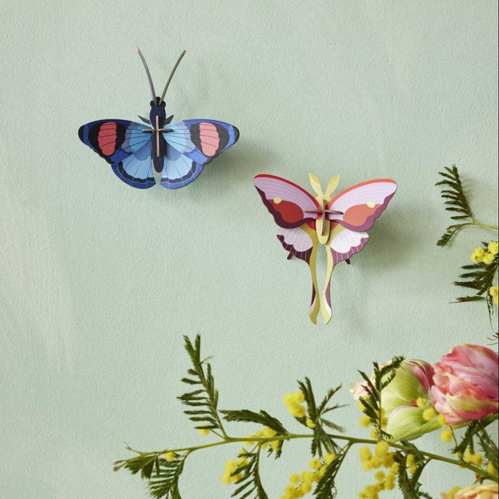 Lilac Comet Butterfly 3D Model Kit