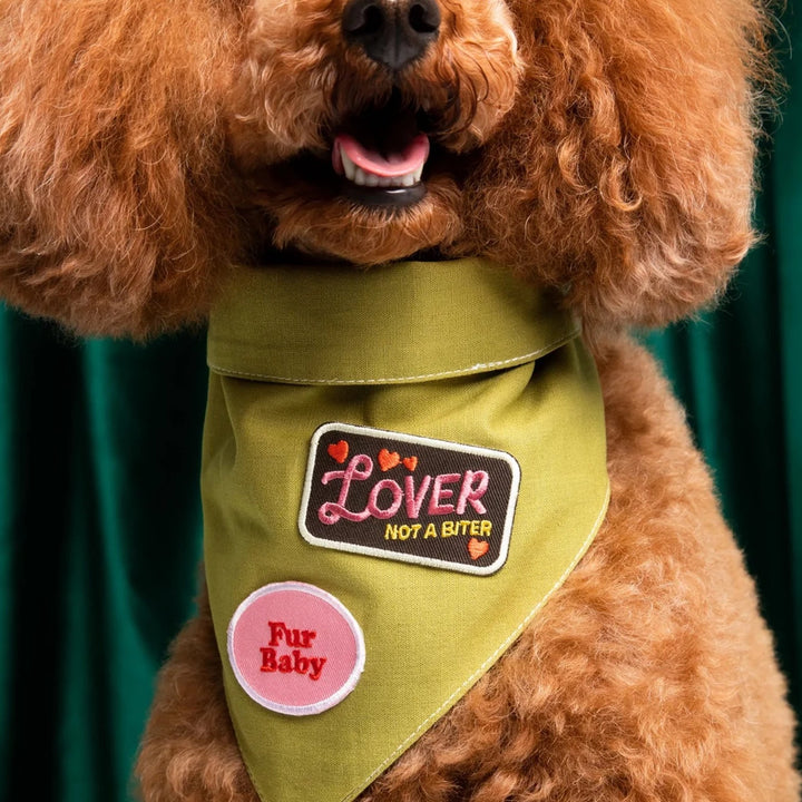 Lover not a Biter Iron-On Patch for Dogs