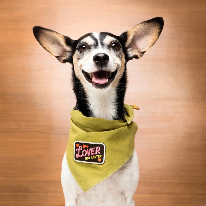 Lover not a Biter Iron-On Patch for Dogs