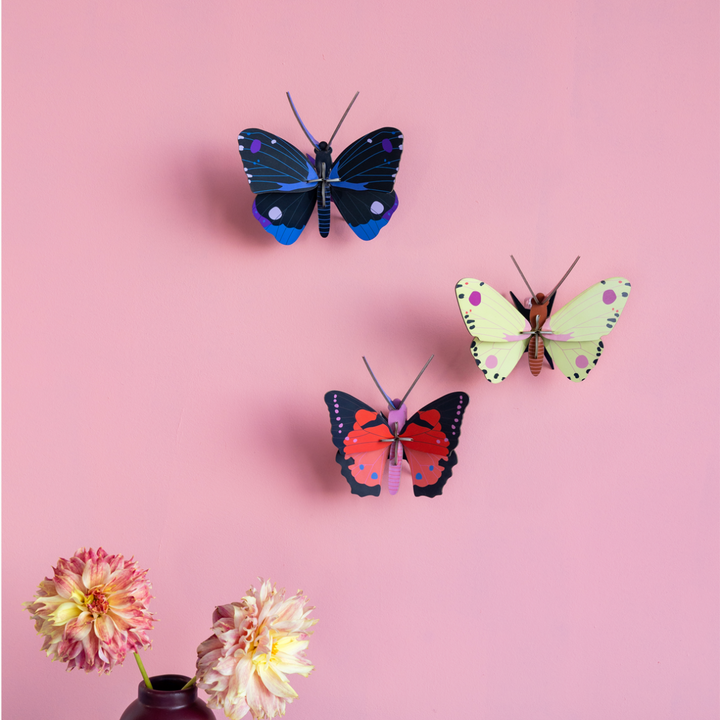 Luzerne Butterfly 3D Model Kit