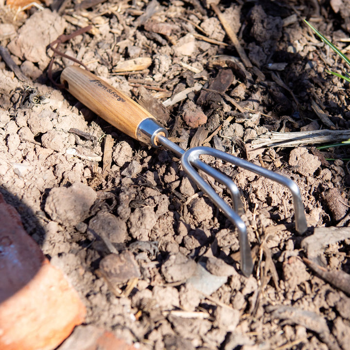 Fern & Forage Hand Cultivator